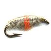 pregnant baggie shrimp